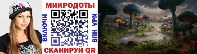 Купить закладки Химки Псилоцибиновые грибы мухоморы